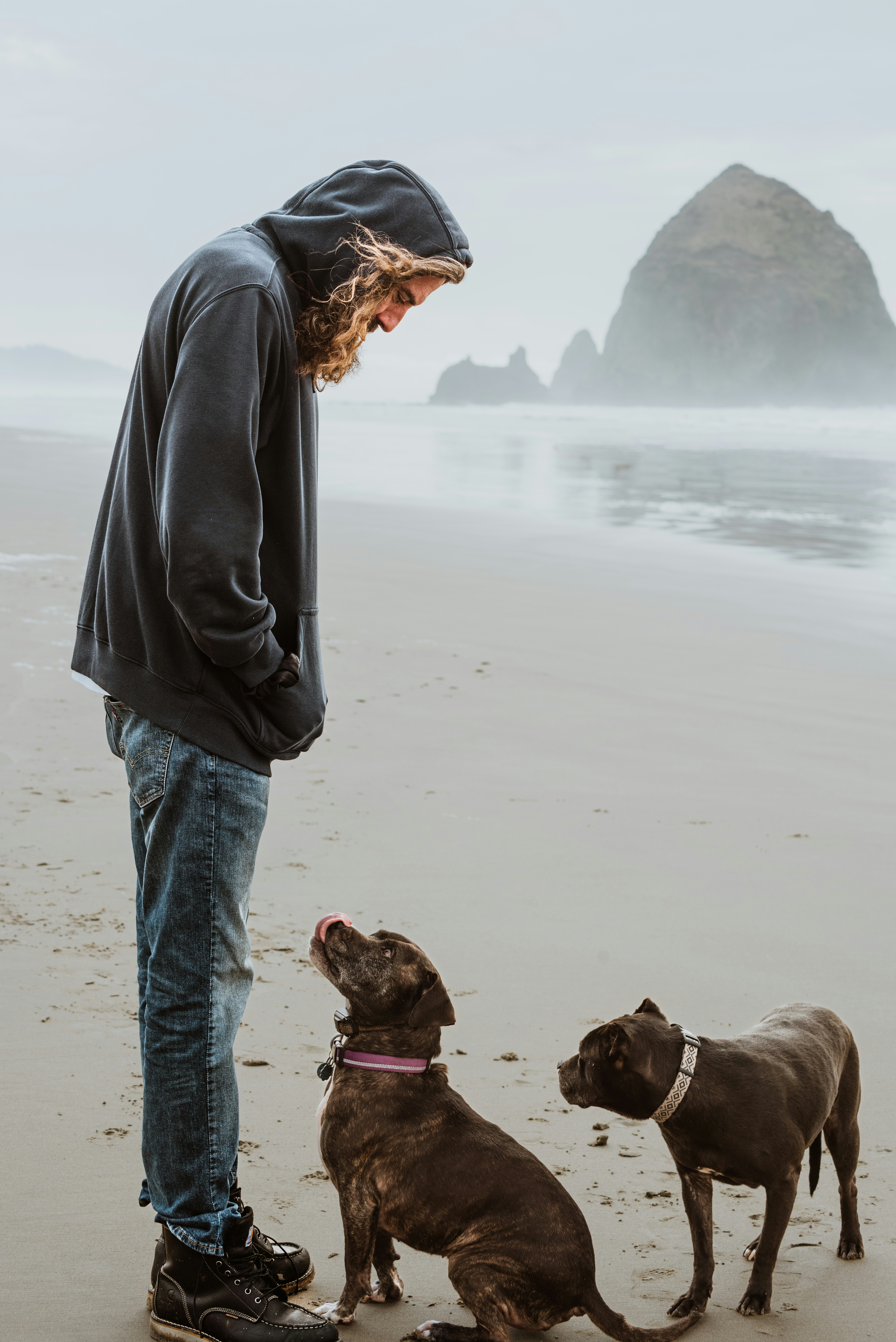 Dog owner on the beach with their dogs